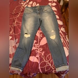 Torrid Womens Jean  Jeggings Size 14r Excellent Condition